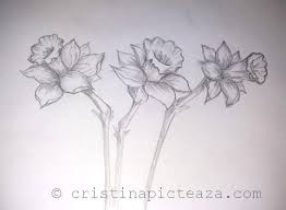 Desen in creion flori in creion pas cu pas pentru incepatori si nu numai. Pin On Picturi