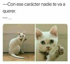 Pin By Alejandra On Pa Reir Animals Animal Crossing Memes Baby Memes