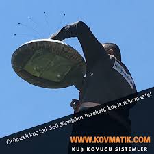 Kus Teli Kovmatik Kopek Hayvan Kus