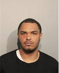 ᐅ Illinois Criminal Records 2009-2026