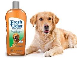 For instance, cancer, heart disease, arthritis. Lambert Kay Pet Shampoos Conditioners Ebay Home Garden Dengan Gambar