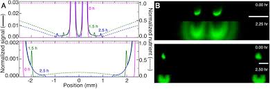 We did not find results for: Chemotactic Migration Of Bacteria In Porous Media Biorxiv