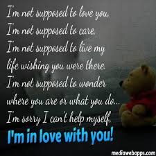 The one who said it must be insane or must have gone nuts do you love that one special person in your life? Sorry I Love You Quotes Quotesgram
