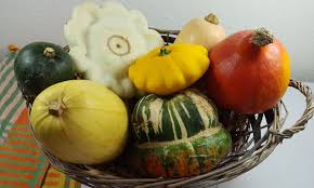 Sind sie vielleicht noch nicht reif. Kurbis Die Besten Tipps Fur Hokkaido Co Einfach Veggie