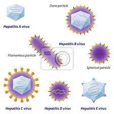 We would like to show you a description here but the site won't allow us. Hepatitis Viren Vergleich Nicht Markiert Leinwandbilder Bilder Mikrobielle Hepatisch Fakal Myloview De