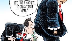 Official account for congressman matt gaetz. Gallery O Gaetz The Cartoon Congressman