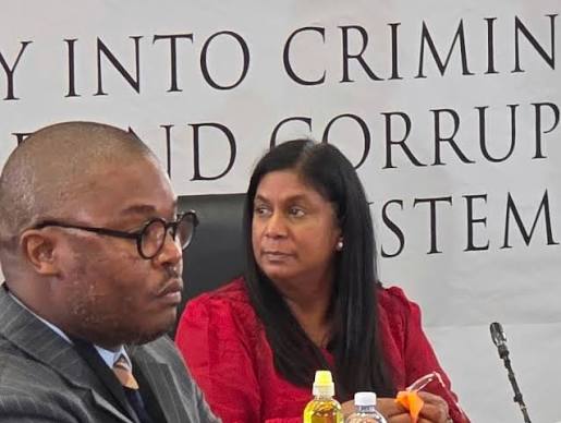 Ufakazi ozofakaza namuhla ngu-Adv Andrea Johnson, iNhloko ye-Investigative Directorate Against Corruption (IDAC), okuyiyunithi engaphansi kwe-National Prosecuting Authority (NPA). Abahola ubufakazi kule Khomishini ngu-Adv Mahlape Sello SC, u-Adv Lee ...