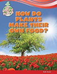 Photosynthesis converts light energy into chemical energy. How Do Plants Make Their Own Food Ruth Owen 9781477771501