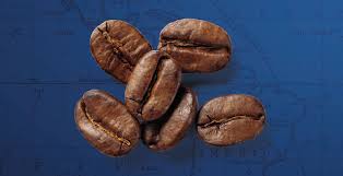 Check spelling or type a new query. Dersut Caffe Avvenice