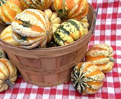 Image result for carnival acorn squash
