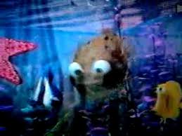 A name dripping with irony. Ù…ØªÙˆØ§ÙÙ‚ Ù…Ø¹ ØºØ¯Ø§Ø¡ Ø®Ù…Ø³ÙˆÙ† Nemo Puffer Fish Name Porkafellas Com