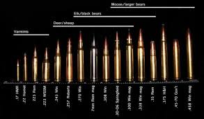 Pin On Calibres