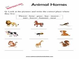 free printable science worksheets for grade 1