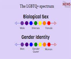 The initialism, as well as some of its common variants, functions as an umbrella term for sexuality and gender identity. Understanding Lgbtq An Exhaustive Explainer On Gender And Sexual Identities The News Minute
