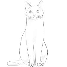 Cute cat sitting back view seamless pattern. How To Draw A Sitting Cat
