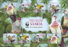 Image result for samoan bird