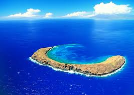 The 10 Best Molokini Crater Tours Tickets 2021 Maui Viator