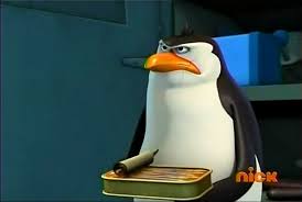 Rico skipper kowalski private the penguins and babies of madagascar. Dreamworks Animation S Penguins Of Madagascar Die Pinguine Aus Madagascar Rico 1920x1440 Wallpaper Teahub Io