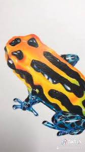 Prismacolor Frog Video In 2020 Frog Animals Prismacolor