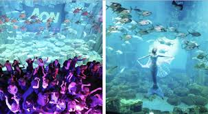 Upcoming events for danser in paris. Une Nouvelle Soiree Ou Danser Parmi Les Requins Et Les Sirenes A Paris Paris Secret