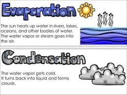 Water Cycle Vocabulary Cards Water Cycle Vocabulary Cards Water Cycle Craft