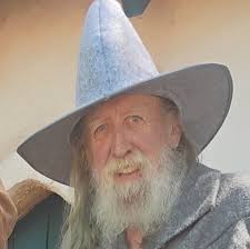 Best carpet cleaner for pet owners?