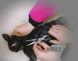 Jika pernah memasang lem tikus, biasanya tangan akan terkena lem tikus yang sangat lengket sekali. Hitam Dan Pelekat Gam Tikus