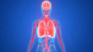 Certain changes in the face can signify a certain type of lung cancer. What To Know About Lung Cancer With Brain Metastases Everyday Health