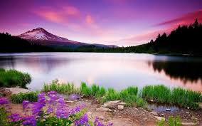Wallpapers For Gt Beautiful Scenery Mobile Beautiful Nature Scenery Wallpaper Wall Beautiful Landscape Wallpaper Beautiful Nature Wallpaper Landscape Wallpaper