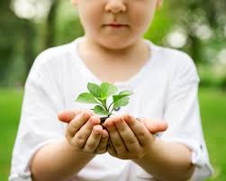 Narração em comemoração do dia do meio ambiente, 5 de junho, que apresenta contos da literatura infantil e juvenil com ênfase na preservação da natureza. Dez Livros Infantis Para Estimular O Cuidado Com O Meio Ambiente Veja Rio