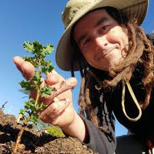 Tony Gurnoe (@botanicwanderer) · Instagram 照片和视频