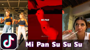 Mi Pan Su Su Su Tiktok Compilation Youtube