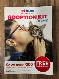 Good holistic vets to help create a raw diet meal plan for cats?