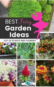 We did not find results for: 15 Of The Best Fairy Garden Plants And Flowers Listotic