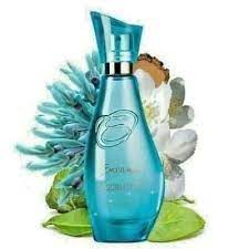 encanto avon encanto avon skin so soft avon pictures