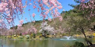 【南魚沼市】南魚沼の観光名所や穴場スポットまとめ | 元バスガイドが選ぶ、魚沼・南魚沼のおすすめ観光スポット| まいぷれ[魚沼・南魚沼]