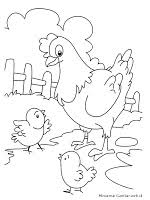 Nah, di bawah ini ada kumpulan gambar yang bisa dipakai lho untuk mewarnai gambar. Mewarnai Ayam Bertelur Gambar Mewarnai Gratis