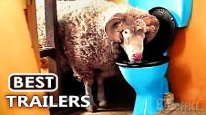 New upcoming 2021 movie releases. Best Upcoming Comedy Movies 2021 New Trailers Youtube