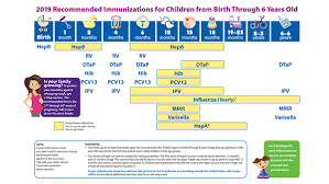Easy To Read Immunization Schedule By Vaccine For Ages Birth