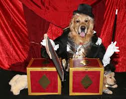 Amazing Magician Sawing Assistant In Half Costumes 4 Steps With Pictures Instructables