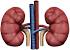 Acid reflux medication linked to kidney disease