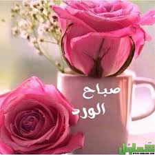 النكتة هي كلمة عامية تُقال بغرض المرح والضحك، وتكون نكت مضحكة قصيرة تملأ المكان كله بهجة، وتؤثر النُكت في نفسية الشخص بشكل كبير حيث تقي من الاكتئاب وتقوي عضلات القلب. Ø¨ÙˆØ³ØªØ§Øª ØµØ¨Ø§Ø­ Ø§Ù„Ø®ÙŠØ± Ù„Ù„Ø§ØµØ¯Ù‚Ø§Ø¡ 2021 Ù…Ù†Ø´ÙˆØ±Ø§Øª ØµØ¨Ø§Ø­ Ø§Ù„Ø®ÙŠØ± ØªØ±ÙŠÙ†Ø¯Ø§Øª