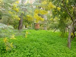 Year/date of compositiony/d of comp. Le Jardin Clos Du Peyronnet William Waterfield S Garden Jardins A L Anglaise
