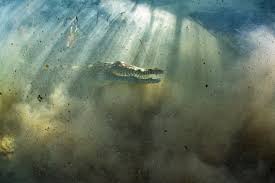 But caffeine content in different caffeinated beverages can vary widely. Is Mastering The Art And