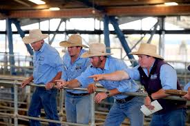 Top 3 results for monika miller in ca. Kmwl Forbes Livestock Auction House Forbes