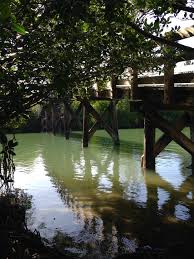 We are looking at camping at sebastian inlet march 2021. Take An Awesome Active Staycation At Sebastian Inlet