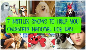 But it's oddly resonant in the early '00s as well, in a world of. 7 Canine Irific Netflix Shows To Help Celebrate National Dog Day Mommy S Busy Go Ask Daddy