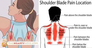 Pin On Health