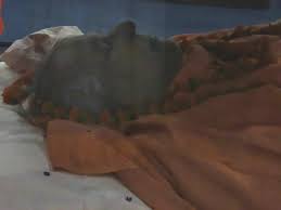 Kaivalyam narakayate