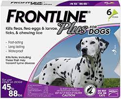 Frontline Plus 2021 In Depth Review Everything You Need To Know